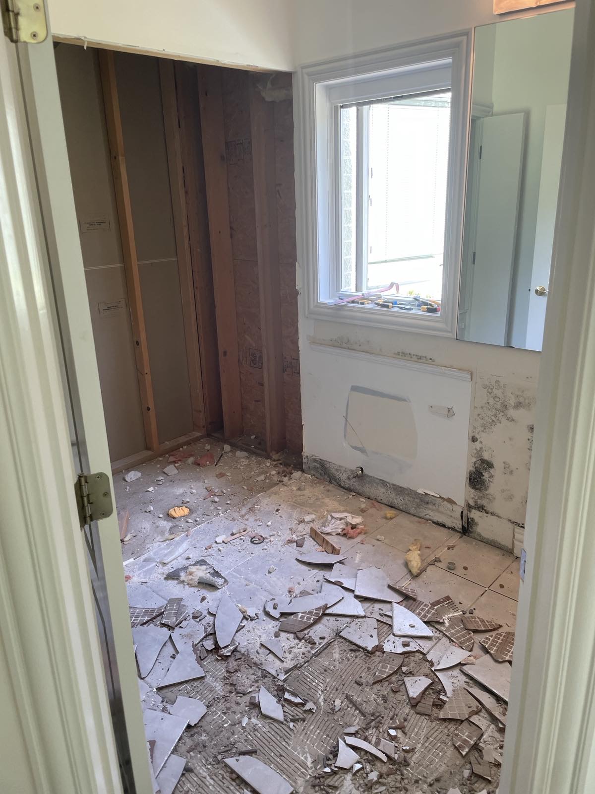 REMODELING T.V.M. LLC